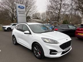 FORD KUGA at Maxwell Motors Berwick-upon-Tweed