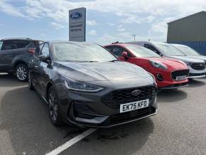 FORD FOCUS at Maxwell Motors Berwick-upon-Tweed