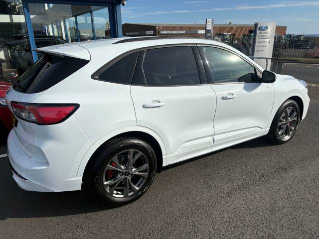 2023 Ford Kuga 1.5 150 ST-Line Edition - 1 Owner