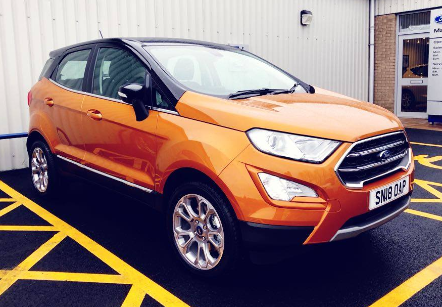 UNIQUE LOOKING ECOSPORT HEADS FOR HAWICK...